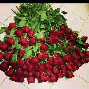 Meet your Posher, Marilyn